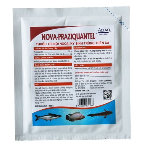Cách sử dụng Praziquantel cho cá Koi: Trị bệnh sán da, dán mang chưa bao giờ đơn giản đến thế 13